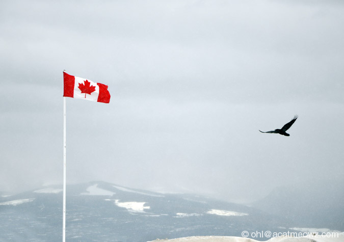 2010.04.11 0313p BigWhite